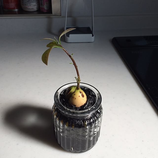 kousakuさんの実例写真