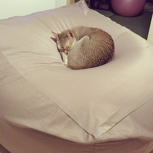miikoさんの実例写真