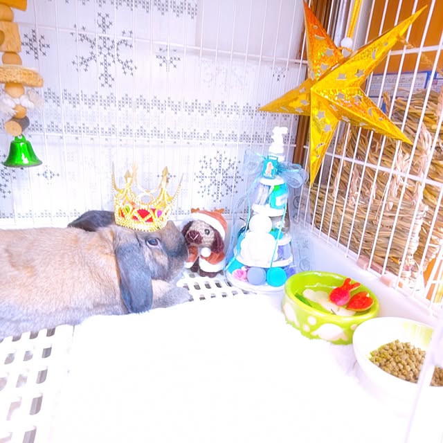 mariaさんの部屋