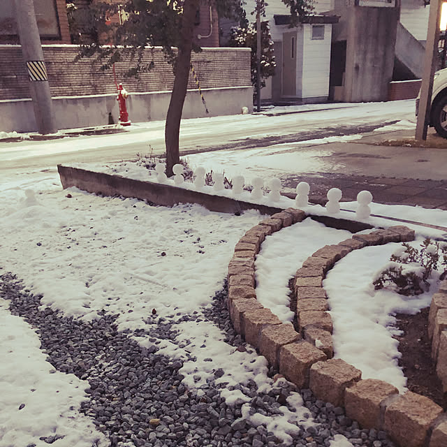 mi_yuさんの実例写真