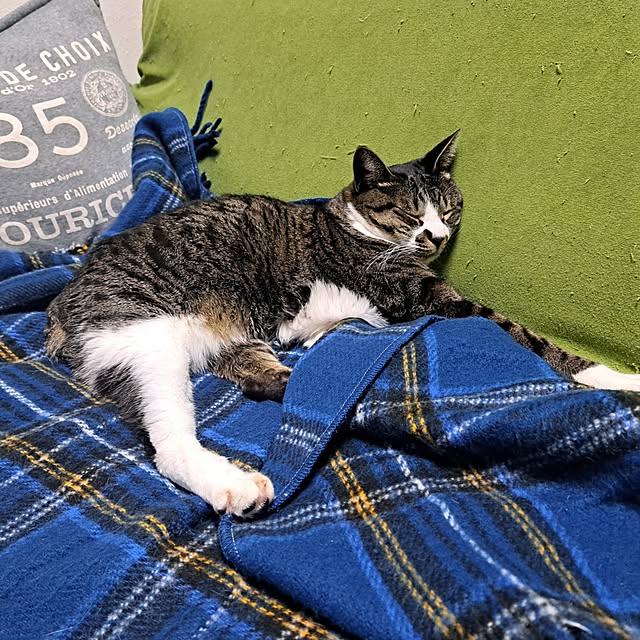 shinoさんの部屋
