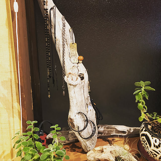 流木インテリア/流木リメイク/観葉植物/グリーンのある暮らし/DIY...などのインテリア実例 - 2020-06-29 22:24:10
