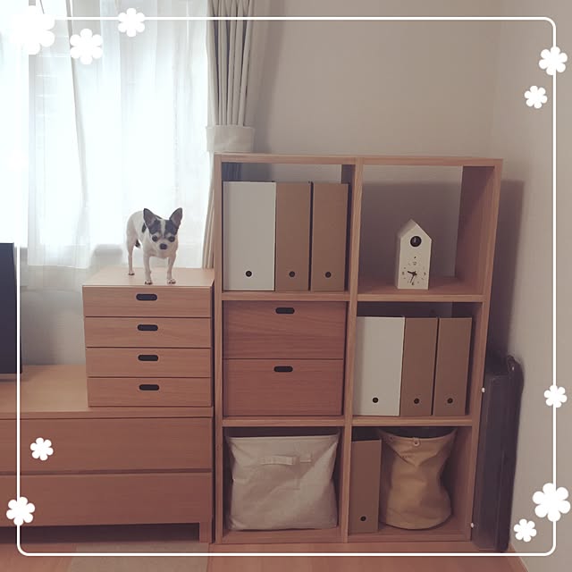 Emiさんの実例写真