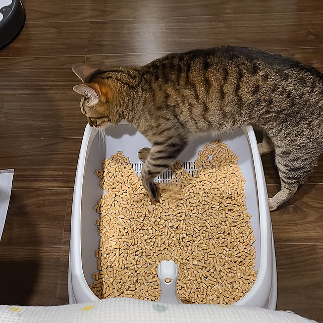 yumiさんの実例写真