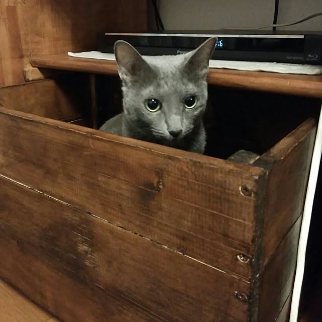 tomo1220さんの実例写真
