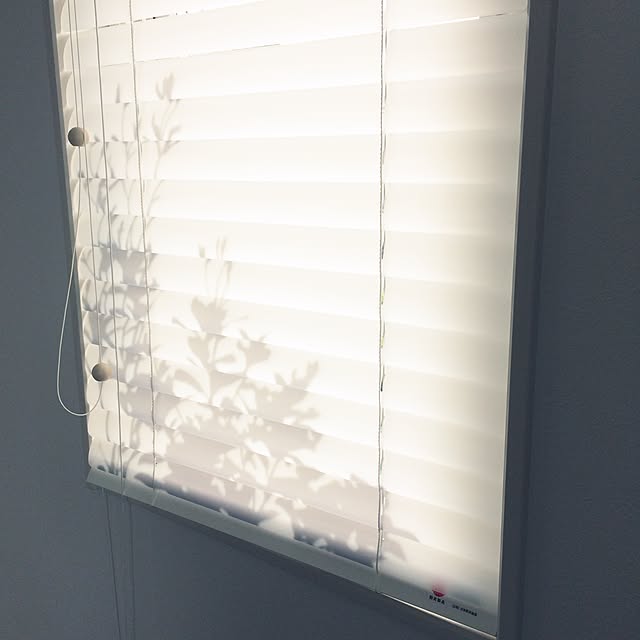 aruさんの実例写真