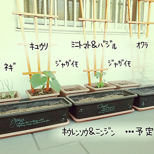 Mam...さんの実例写真