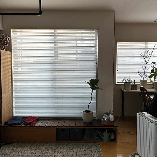 hatsugaさんの部屋