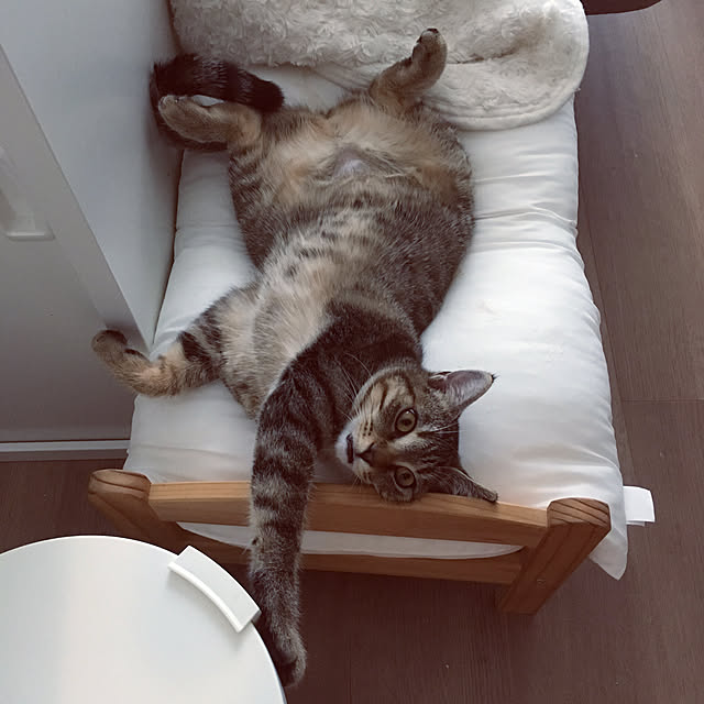 mikomaruさんの実例写真