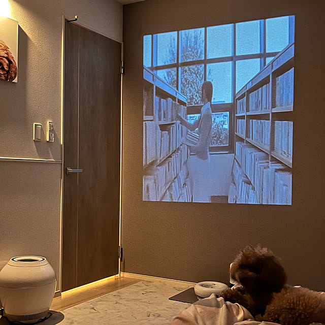 saiさんの実例写真