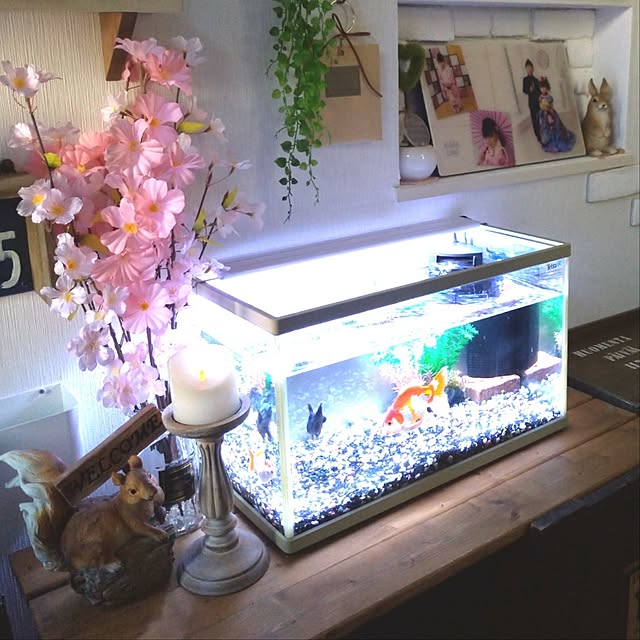 saayaさんの部屋