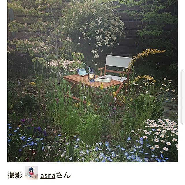 asmaさんの実例写真