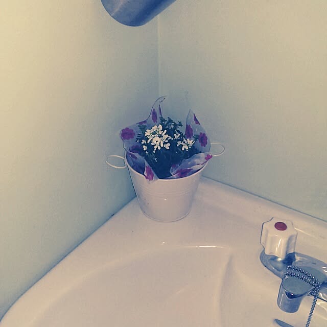 tibiさんの実例写真