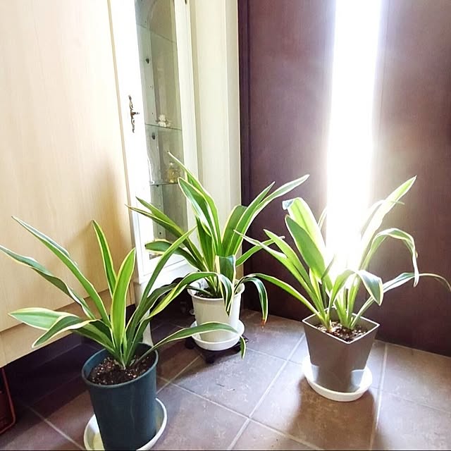 Bienvenueさんの部屋