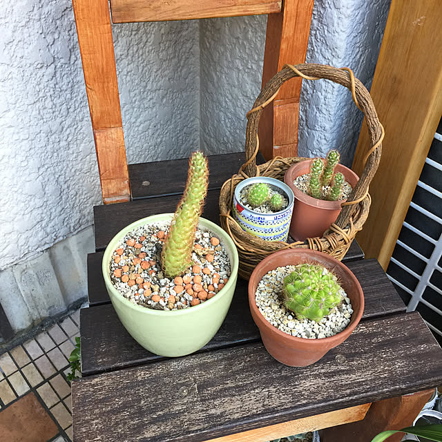 yokoymさんの実例写真
