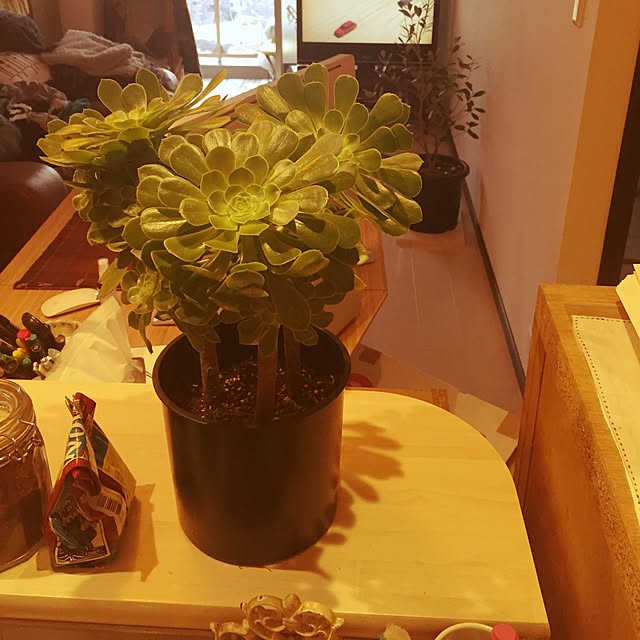 yoshinari_tokuteruさんの実例写真