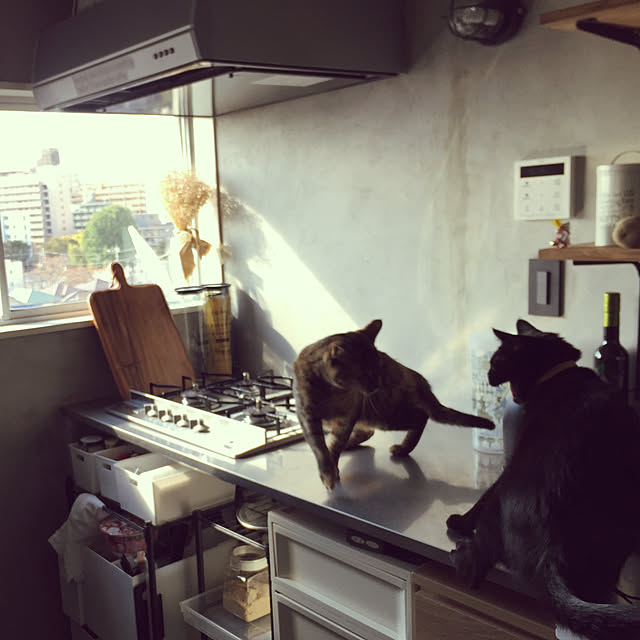 sakkeyさんの実例写真