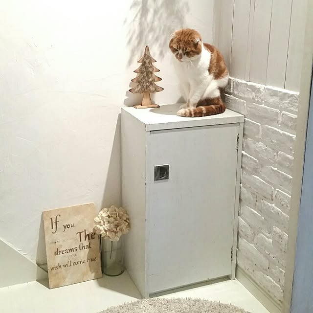 mikiさんの実例写真