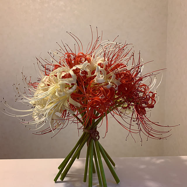 eshinobumさんの実例写真