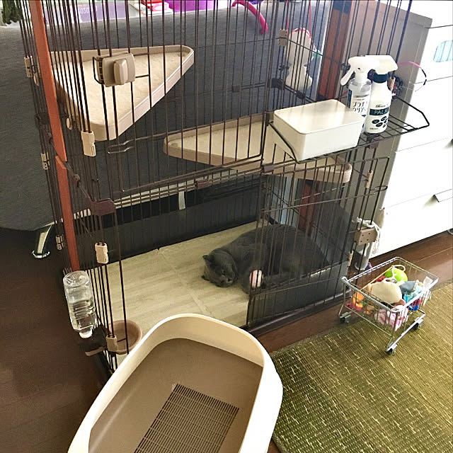 kittyさんの実例写真