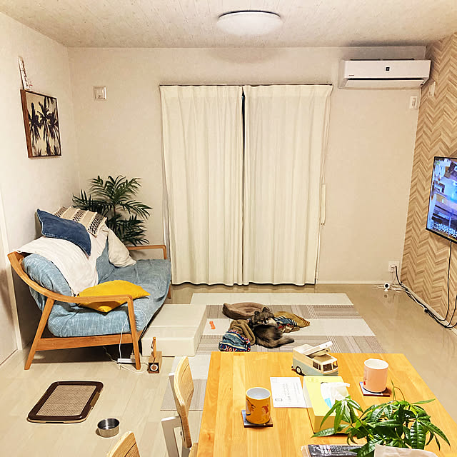 Pecoさんの実例写真