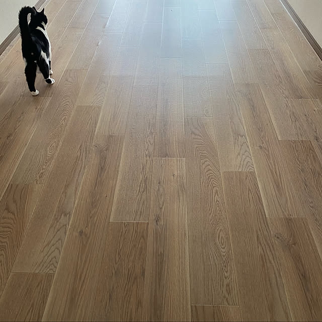 shiさんの実例写真