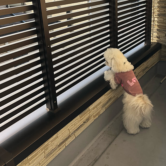michiharuさんの実例写真
