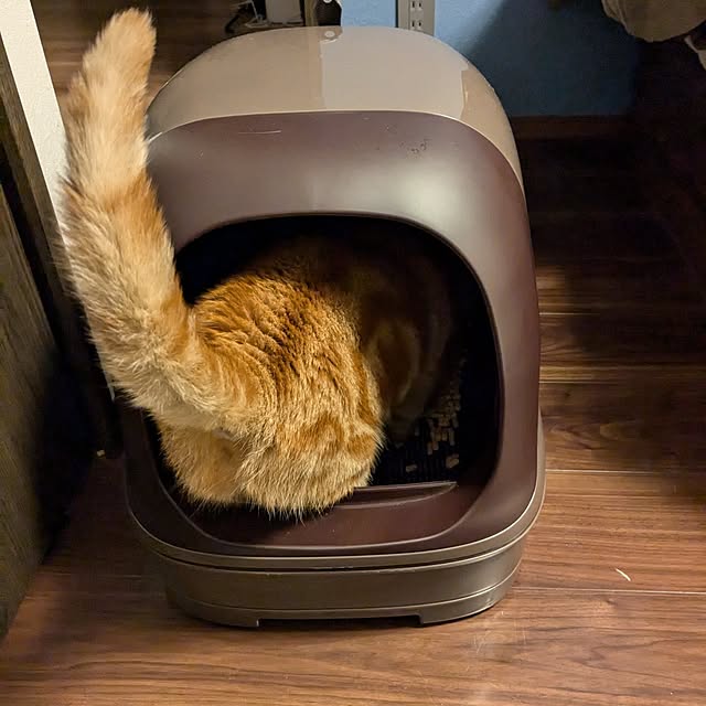chiiさんの実例写真
