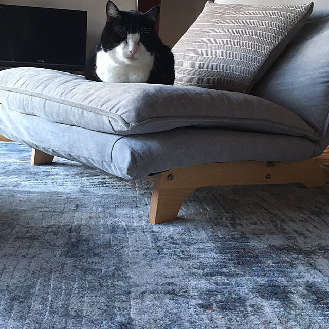 stripeblueさんの部屋