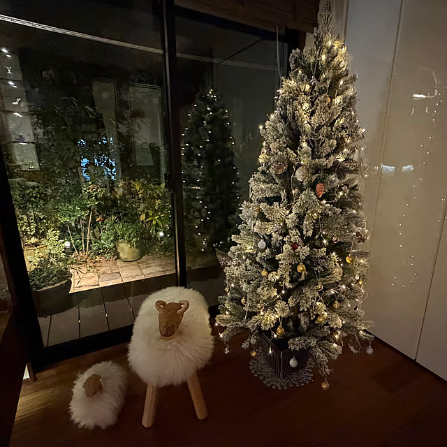 Yumiさんの実例写真