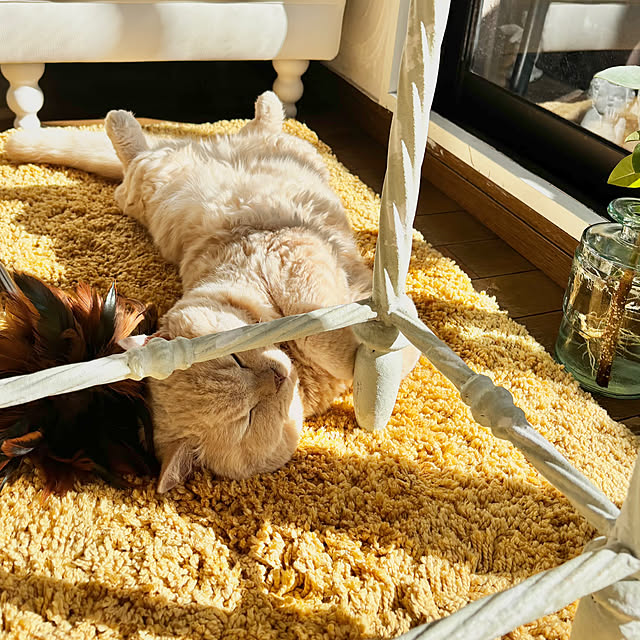 naokoさんの実例写真