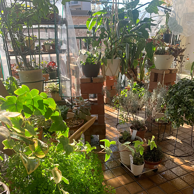 Aqettyさんの部屋