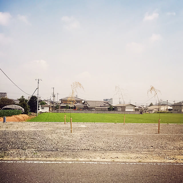manam11Mさんの実例写真