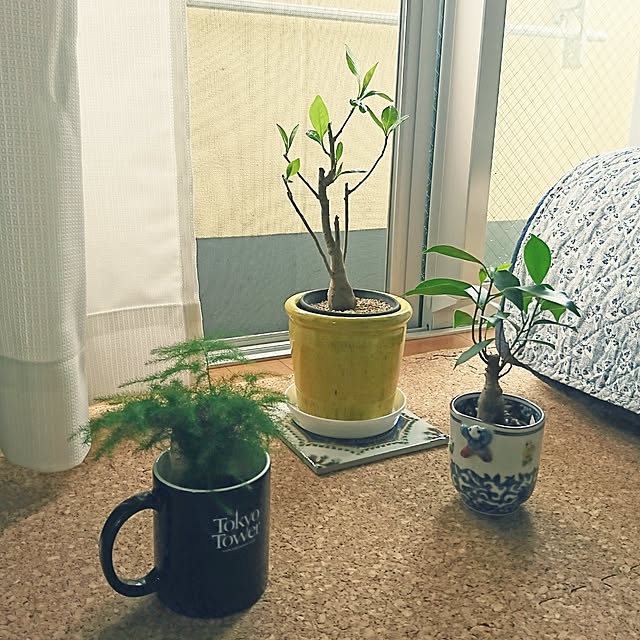 noripopさんの実例写真