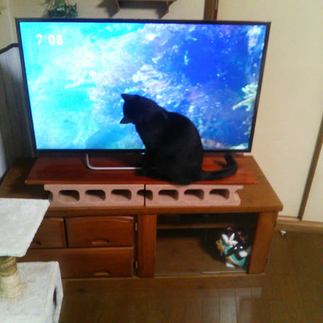 Tomopさんの実例写真