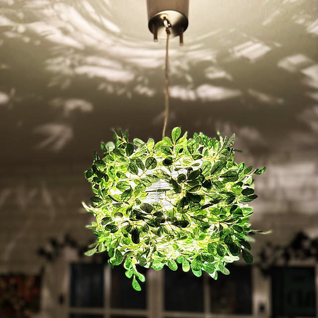 Mieさんの実例写真