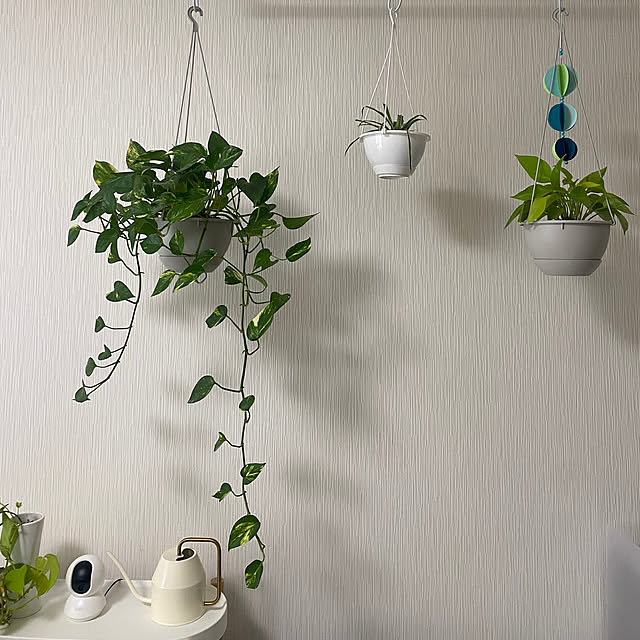 naoさんの実例写真