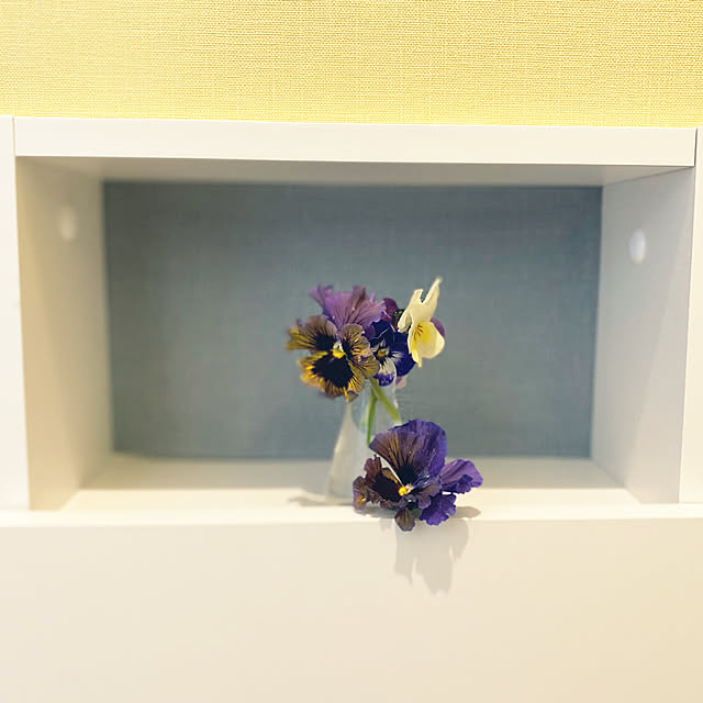 moainanoさんの実例写真