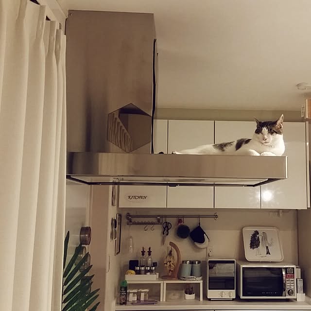 runayucoさんの実例写真