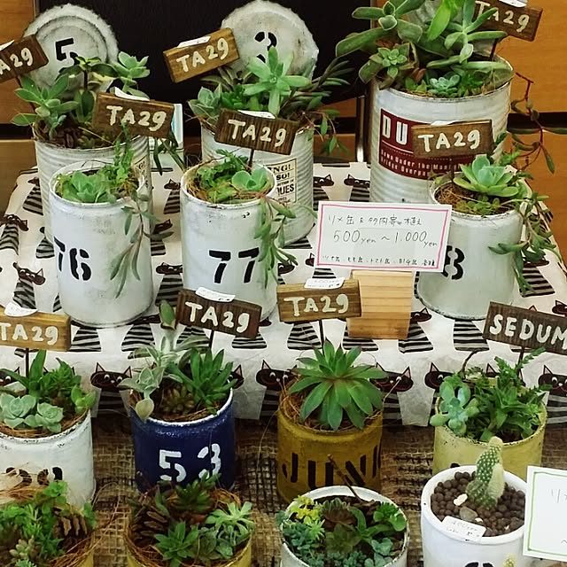 kanaさんの実例写真