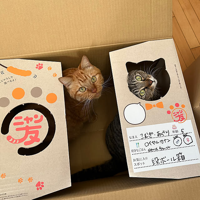 klaroomさんの部屋