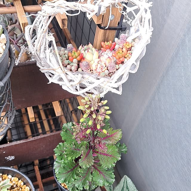 noaさんの部屋