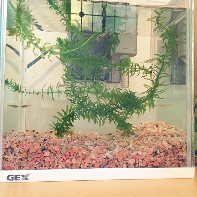 hamasaさんの実例写真