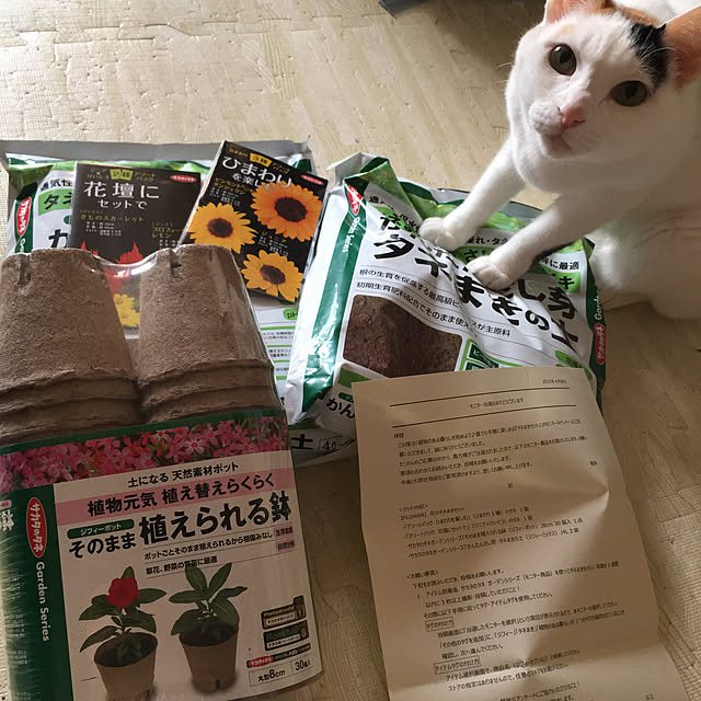 ichi.さんの実例写真
