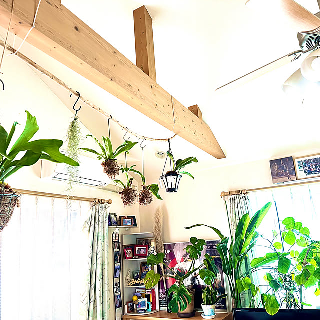 sunechiさんの部屋