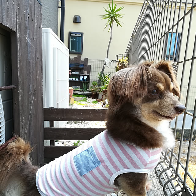 rikakoさんの実例写真
