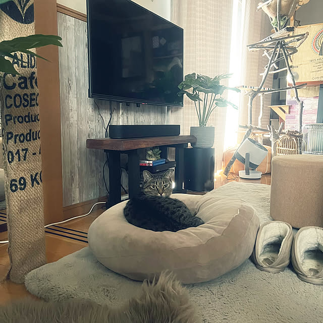 Mさんの部屋