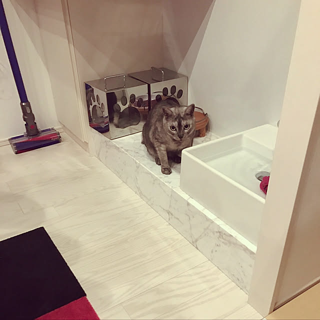rapiさんの実例写真