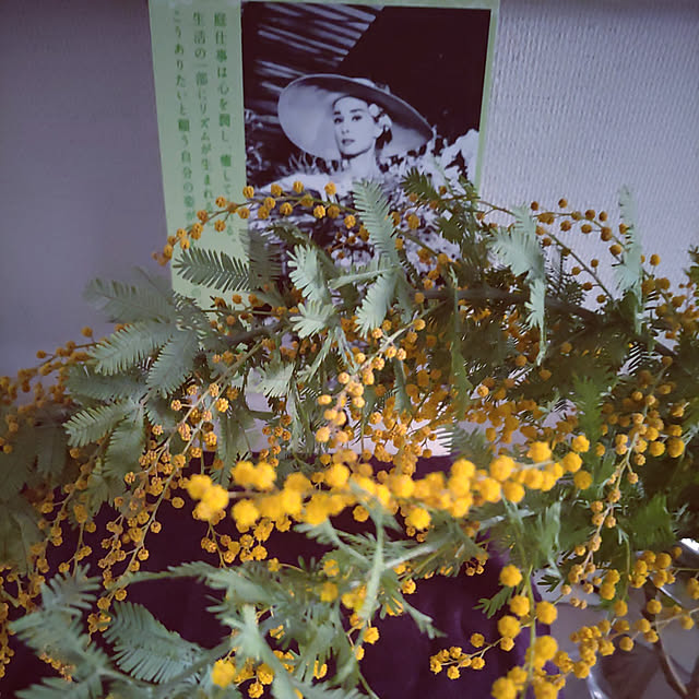 nyankonecoさんの実例写真