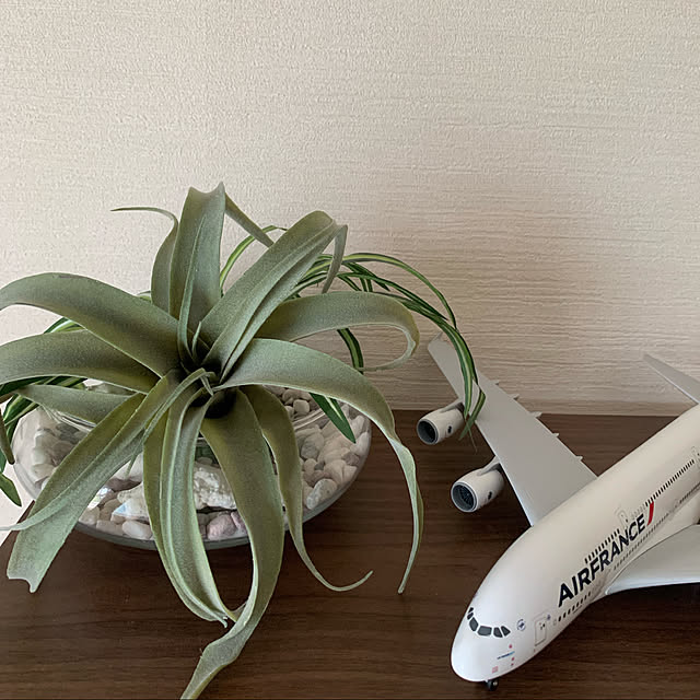 aureaさんの実例写真